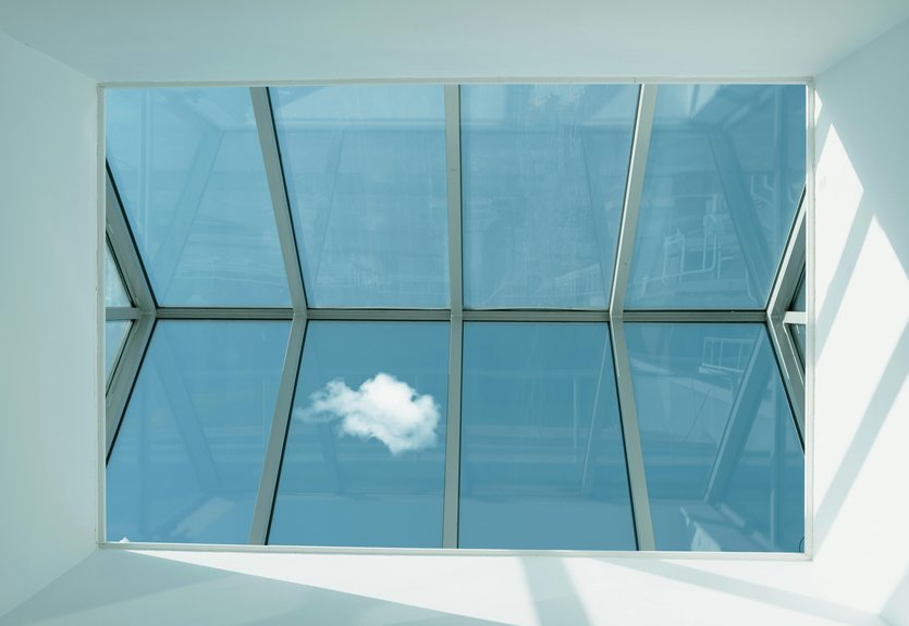 roof and skylight tips