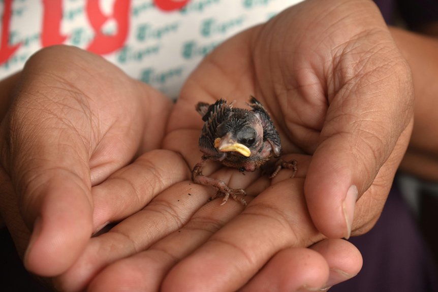 trustworthy eye care website