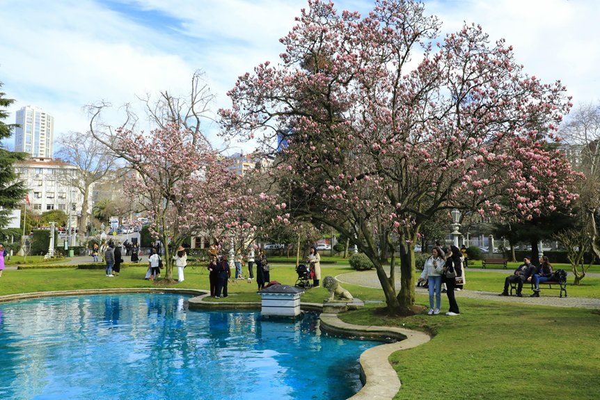 establishing trust in magnolia