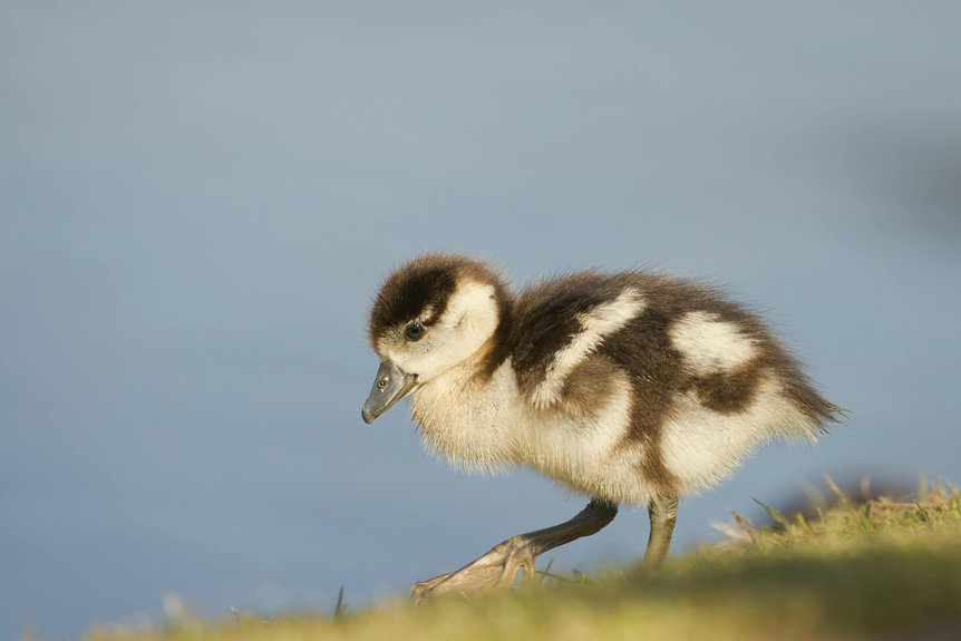 island adventures in cayman