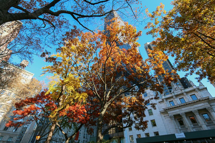 wichita falls roofing trends