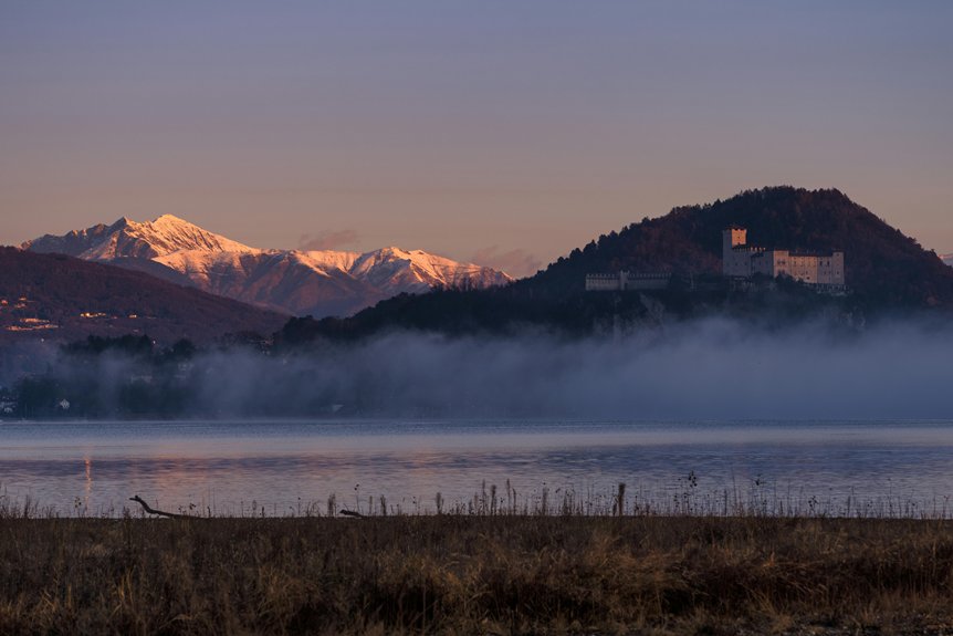 algaecide herbicide lake damage