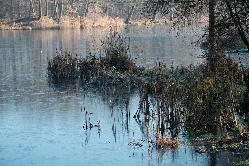 innovative lake management approaches