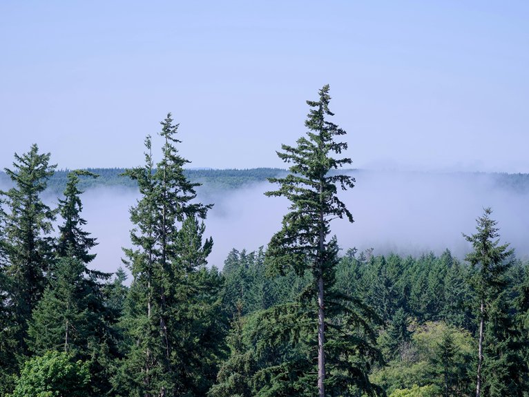 limitations of vertical profiles