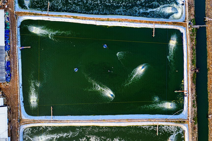 lake and pond management