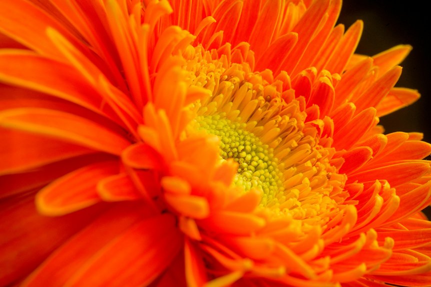 lake maintenance pocono farms